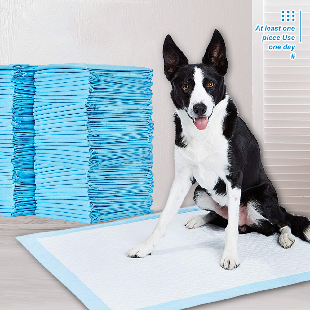 Super Absorbent Pet Diaper Dog Training Pee Pads for Cats Dog Diapers Cage Mat Disposable Healthy Nappy Mat Pet Supplies