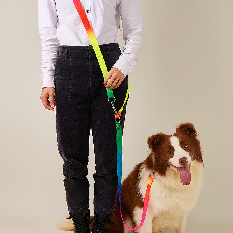 CAWAYI KENNEL Nylon Soft Pet Dogs Chain Traction Rope Leads Free Hands Diagonally Dog Rope Explosion-proof Chain for Large Dogs