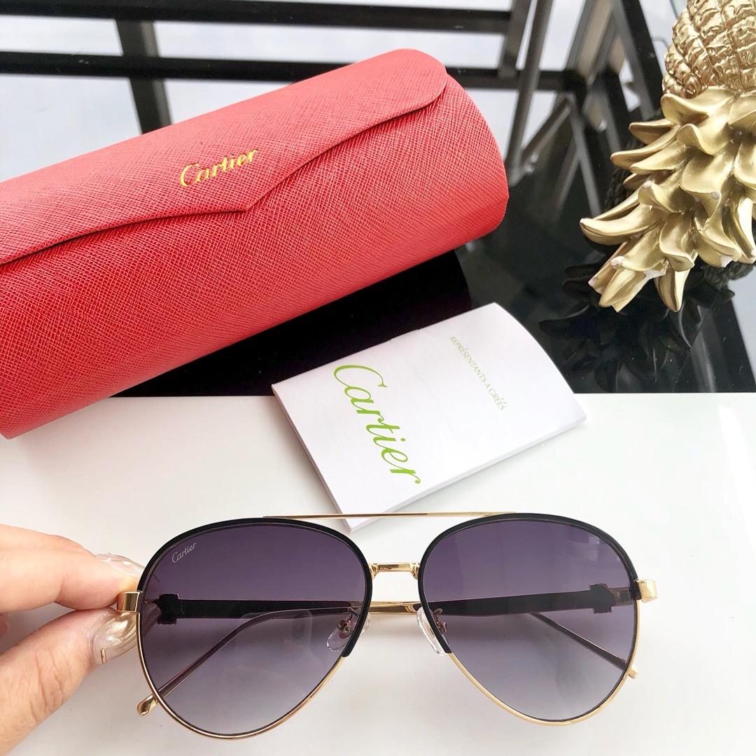 Cartier Men’s Sunglasses ASS650042